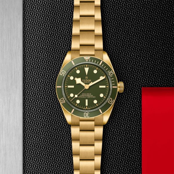 TUDOR Black Bay 58 18K