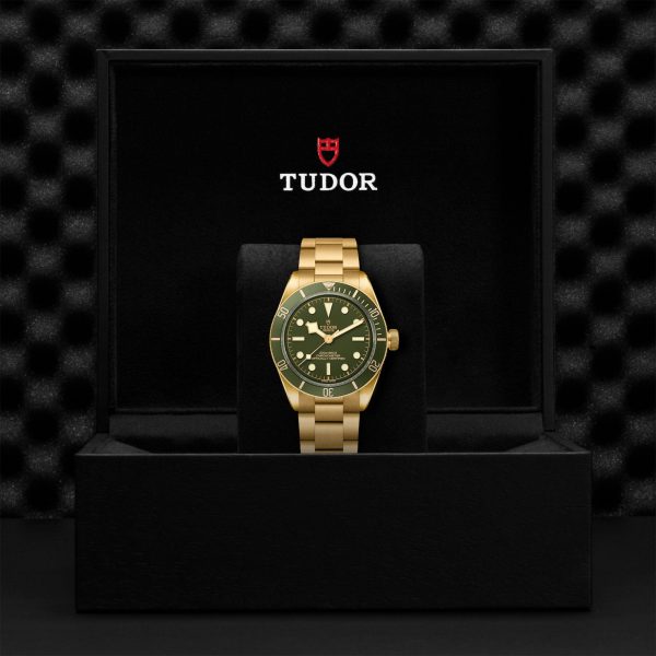 TUDOR Black Bay 58 18K